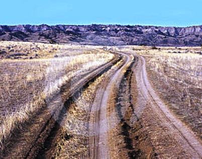 Rutted tracks