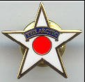 Arctic Star, recognizing service in wartime Artic Convoys to Russia in the 1940s